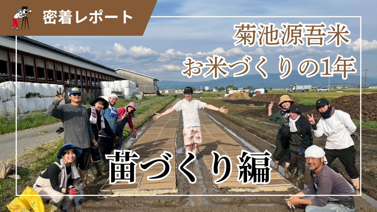 【特集】米作りの1年を追う｜第一弾「苗づくり」編