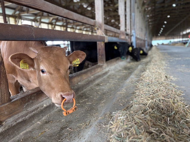 この春、ひとつの決断。