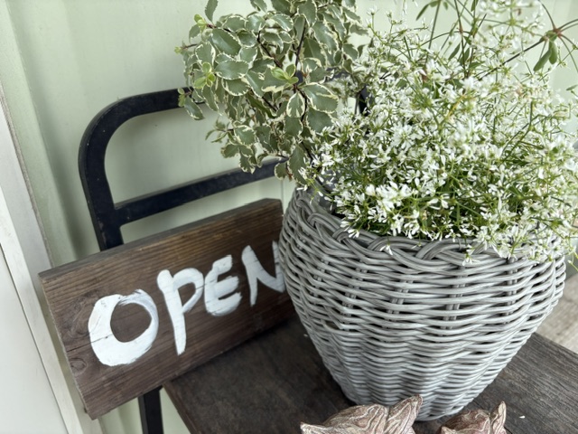 Saigo-shop 9月リニューアルOPEN！